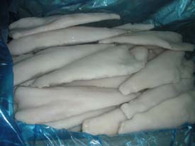 Frozen light salted Atlantic Cod fillet