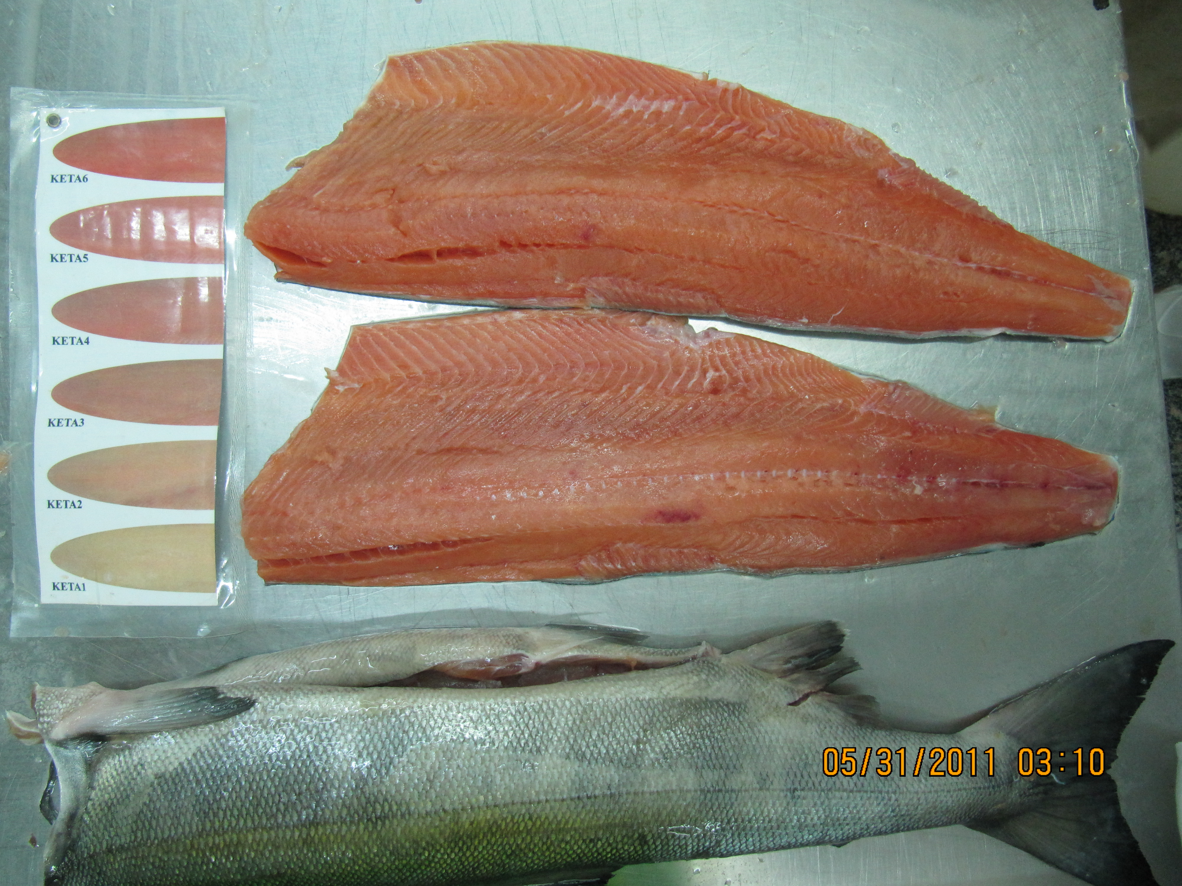 chum salmon defrost fillet