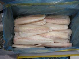 pollock fillet IQF,skinless, boneless