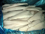Frozen Light Salted Fish & Cod Products